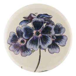 Blue Geranium