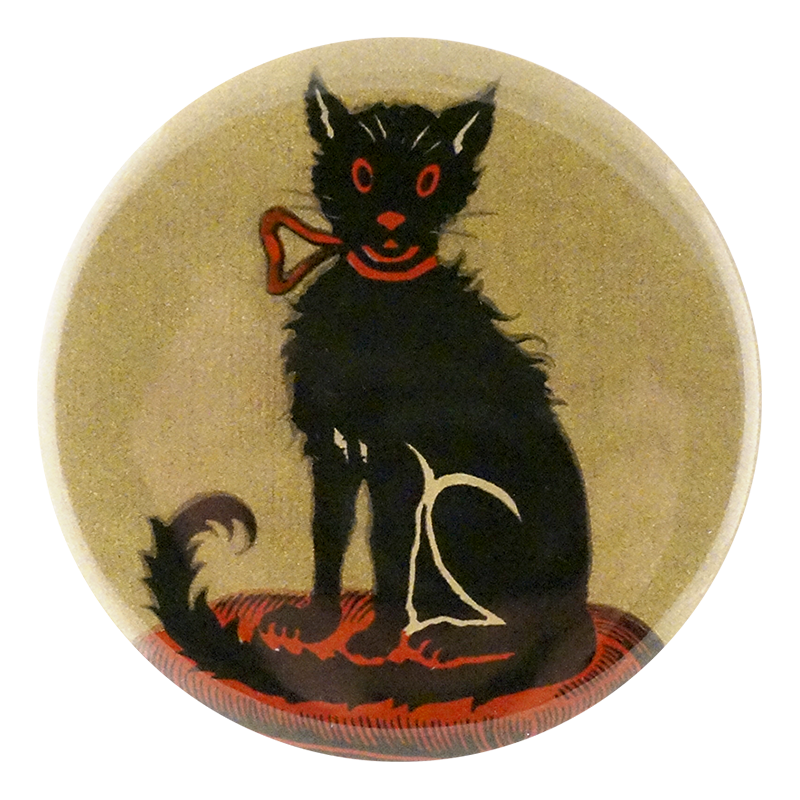 Good Luck To You Black Cat