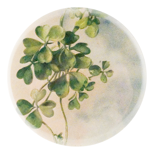 Killarney Clovers