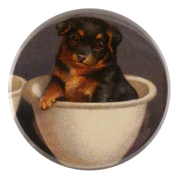 Pet Bowl