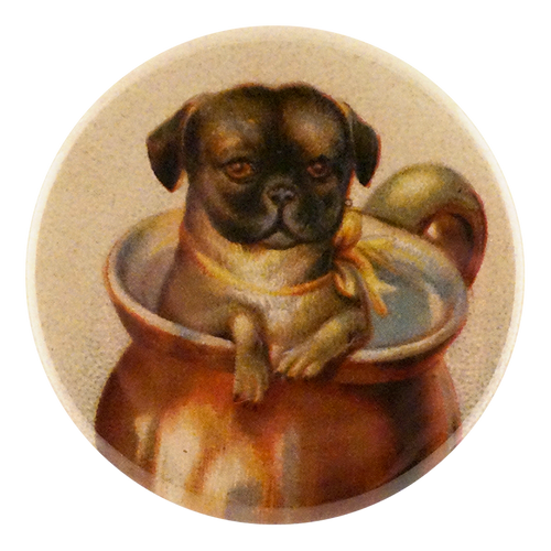 Pet Mug
