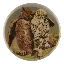 Restoration