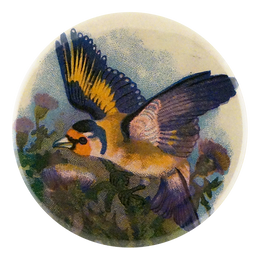 Thistle Bird