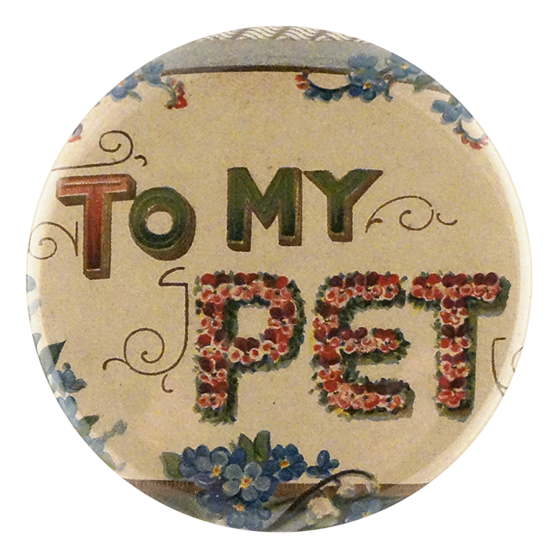To My Pet