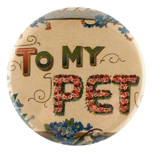To My Pet