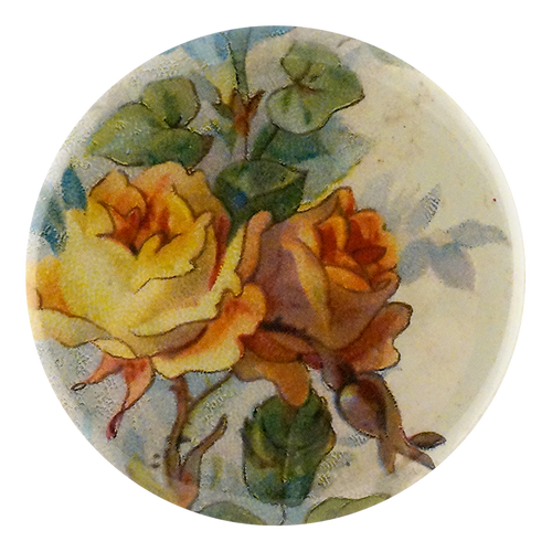 Yellow Rose