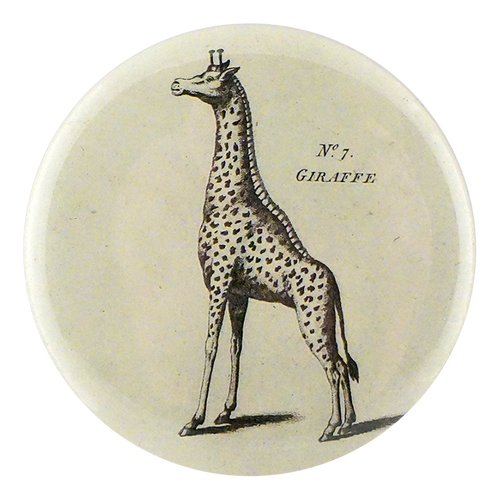 Black & White Giraffe