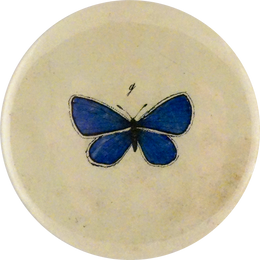 Holy Blue Gossamer Wings Butterfly