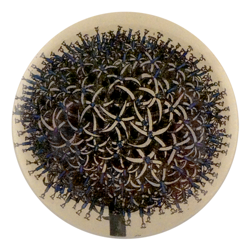 Globe Thistle