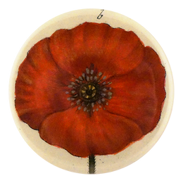 Papaver