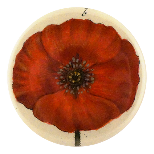 Papaver