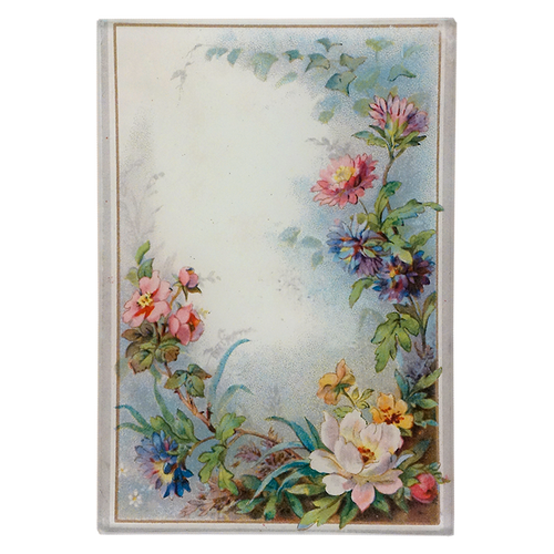 Blossoms