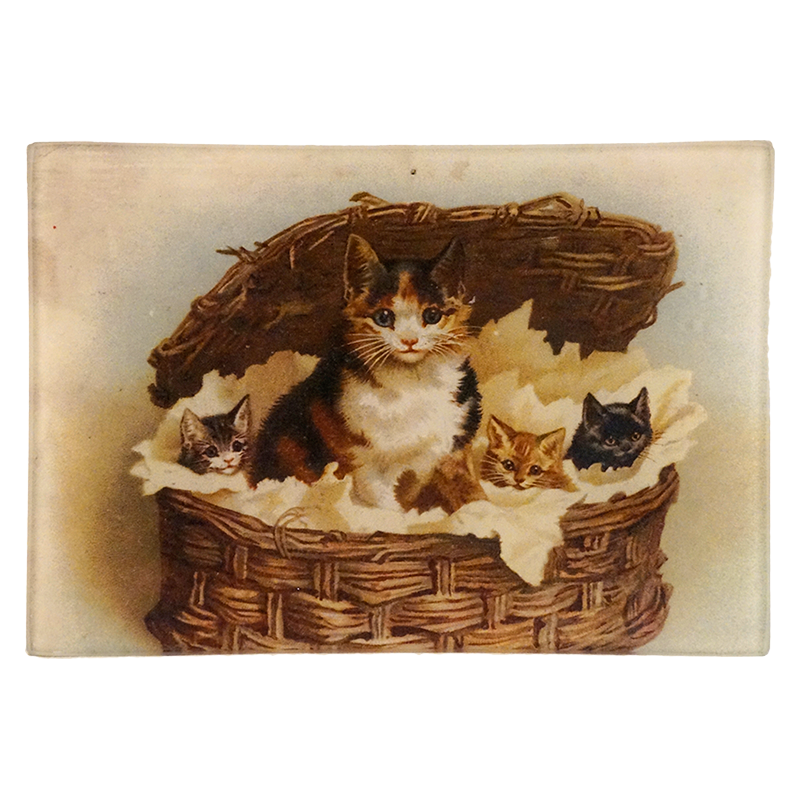 Cat with kittens in a woven basket on a four and a half inch by six and a half inch glass tray.