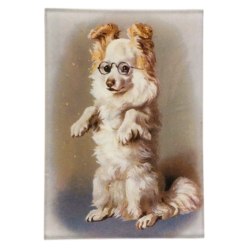 Dog Paws Up