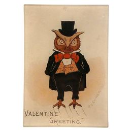 Sweet Owl