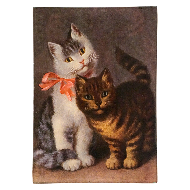 Two cats, one with a bow tie with a four and a half inch by six and a half inch glass tray. 