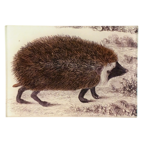 Hedge Hog