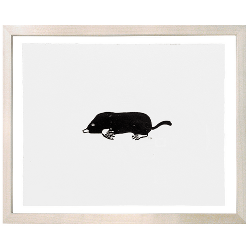 Mole