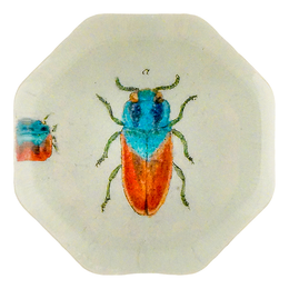 Blue Red Jewel Beetle (Beetles)