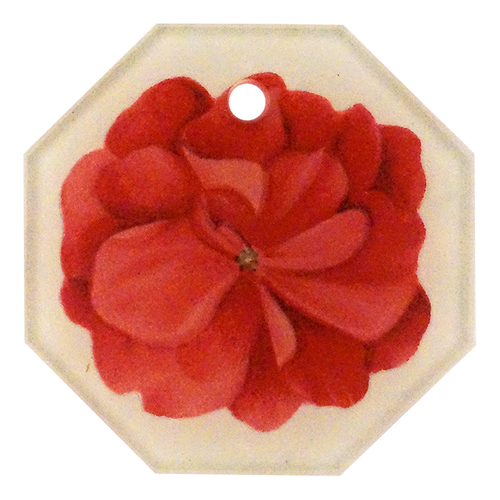 Geranium Fleuret 3