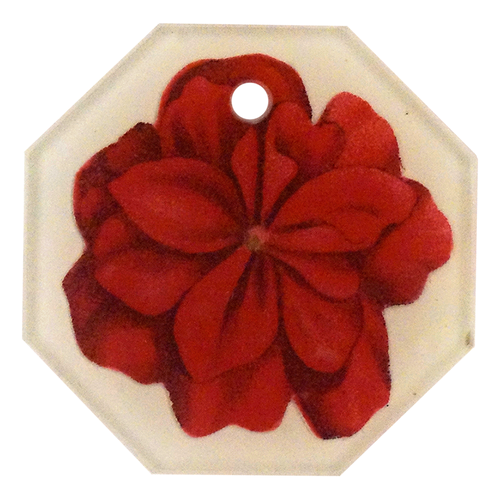 Geranium Fleuret 4