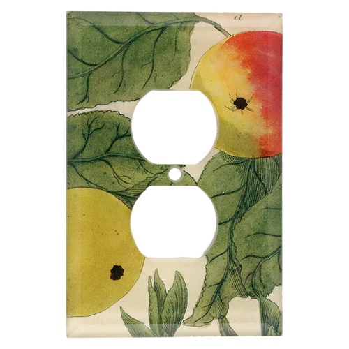 N. 707 Colorful Apples