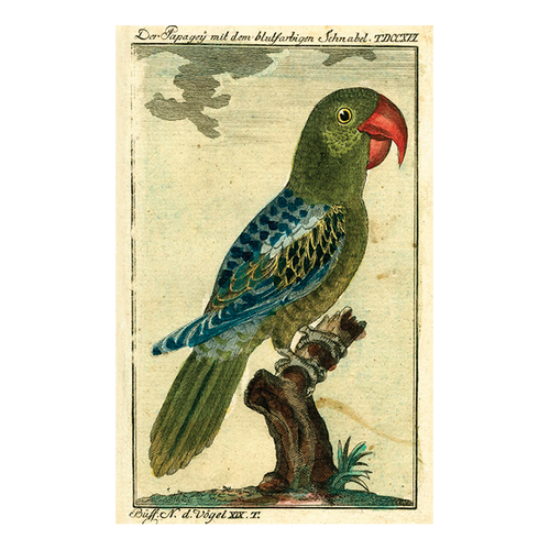 Parrot 7 Green