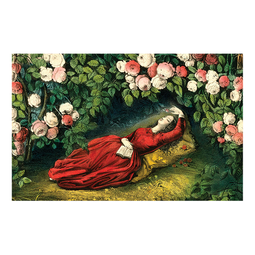 Sleeping Beauty