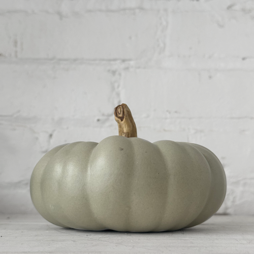 Medium Crown Prince Porcelain Squash
