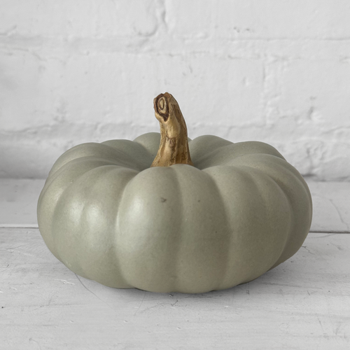 Medium Crown Prince Porcelain Squash