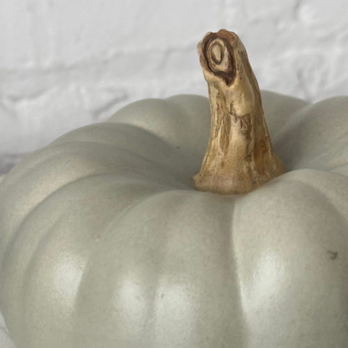 Medium Crown Prince Porcelain Squash