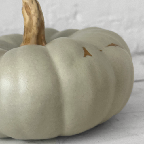 Medium Crown Prince Porcelain Squash