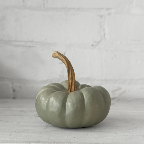 Baby Crown Prince Porcelain Squash