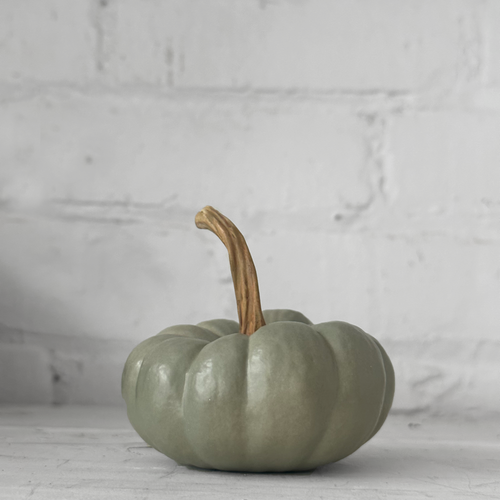 Baby Crown Prince Porcelain Squash