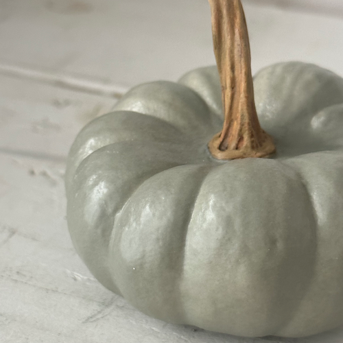 Baby Crown Prince Porcelain Squash