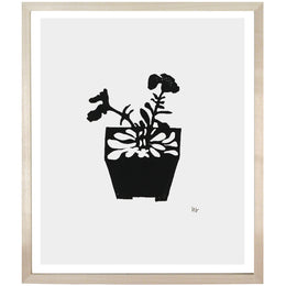 Petunia