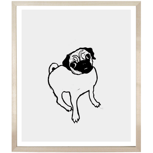 Pug