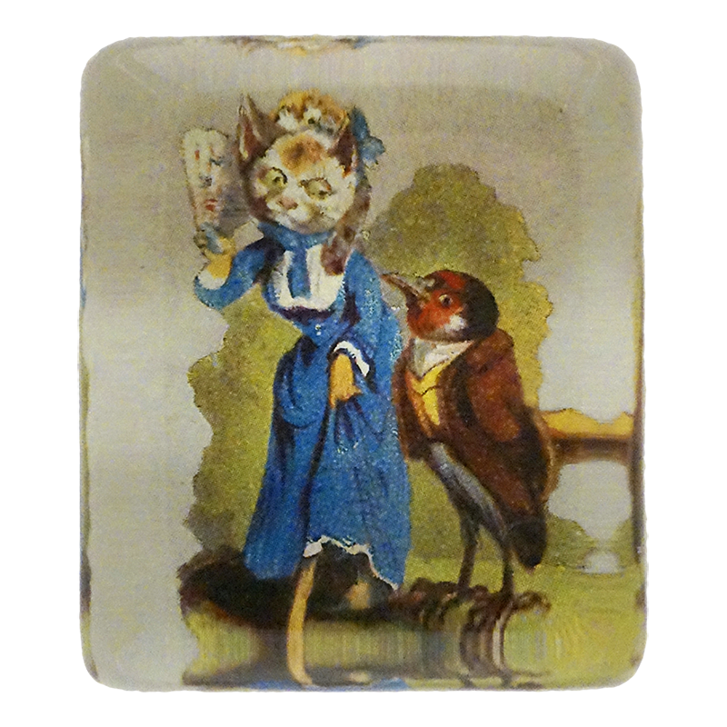 Cat & Bird