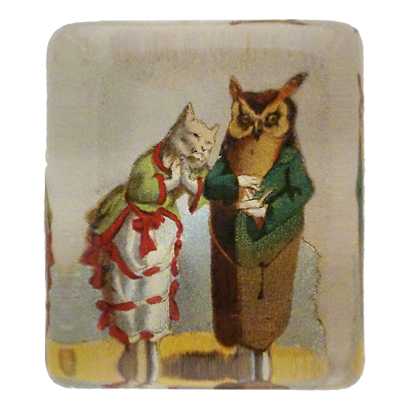 Cat & Owl