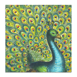 Summerill & Bishop x John Derian "Peacock" Linen Napkin Set of 6