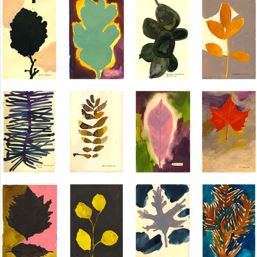 The Native Trees of Canada
