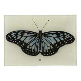 A three and a half inch horizontal rectangular glass plate featuring a detailed illustration of a butterfly with black and pale blue wings, set against a cream-colored background with a small monogram 'JB' below.
