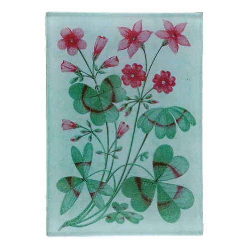 A collage of pink flowers and green leaves design with a light blue back ground on a three and a half inch by five inch glass tray. 