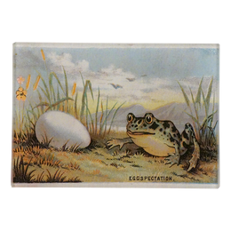 A frog and an egg surrounded by an outdoor scene with water, birds, and mountains. 