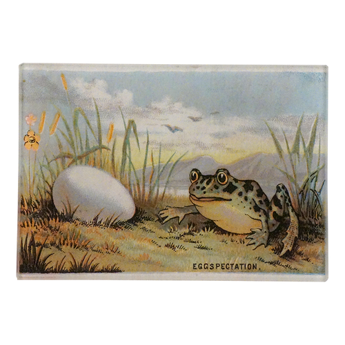 A frog and an egg surrounded by an outdoor scene with water, birds, and mountains. 