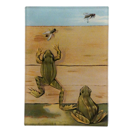 Two frogs and two flies with one of the frogs jumping towards a fly. 
