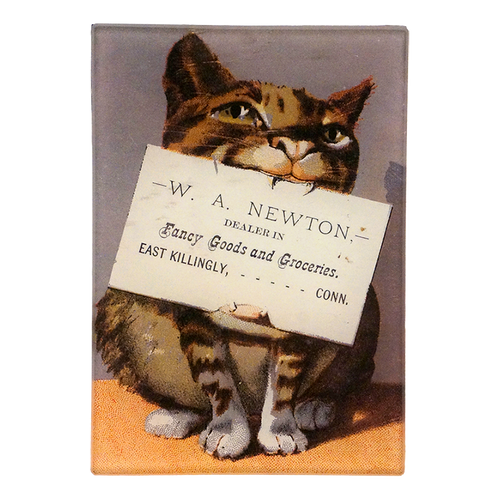 A vintage style advertisement of a cat hold a sign on a three and a half inch by five inch glass tray. 