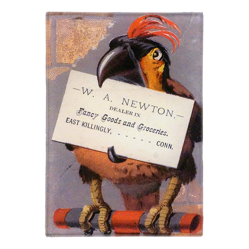 A three and a half inch by five inch vertical rectangle glass tray with a parrot holding a sign for W. A. Newton.