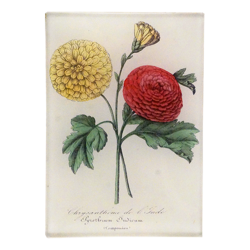 A yellow and red Chrysanthemum with green leaves on a three and a half inch by five inch glass tray. 