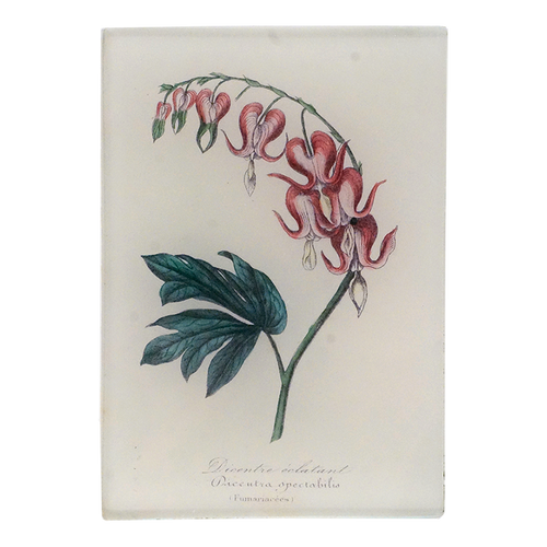 A floral design, with pink flowers and green leaves on a three and a half inch by five inch glass tray. 